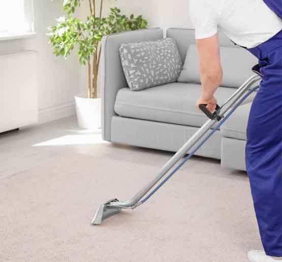 carpet cleaning in ivanhoe